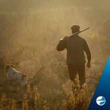 Тест дня. Вгадай породу собаки по фото