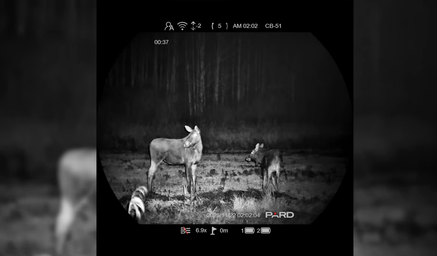 Цифровой прицел PARD NS4 Night Stalker 4K во время ночной охоты