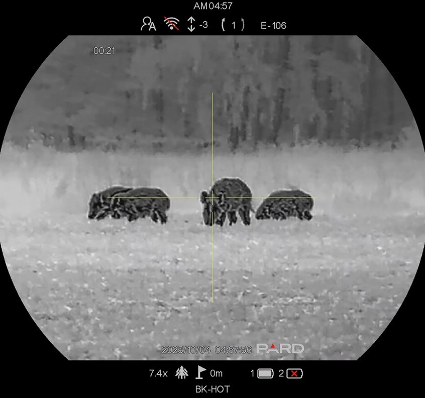 Пример тепловизионного изображения через Pard Pantera eX 640-50 LRF Q