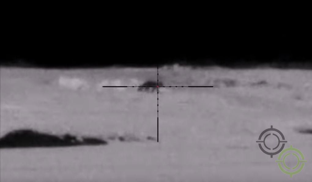 Лиса на 270 метрів у прицілі Pulsar Digisight Ultra N455