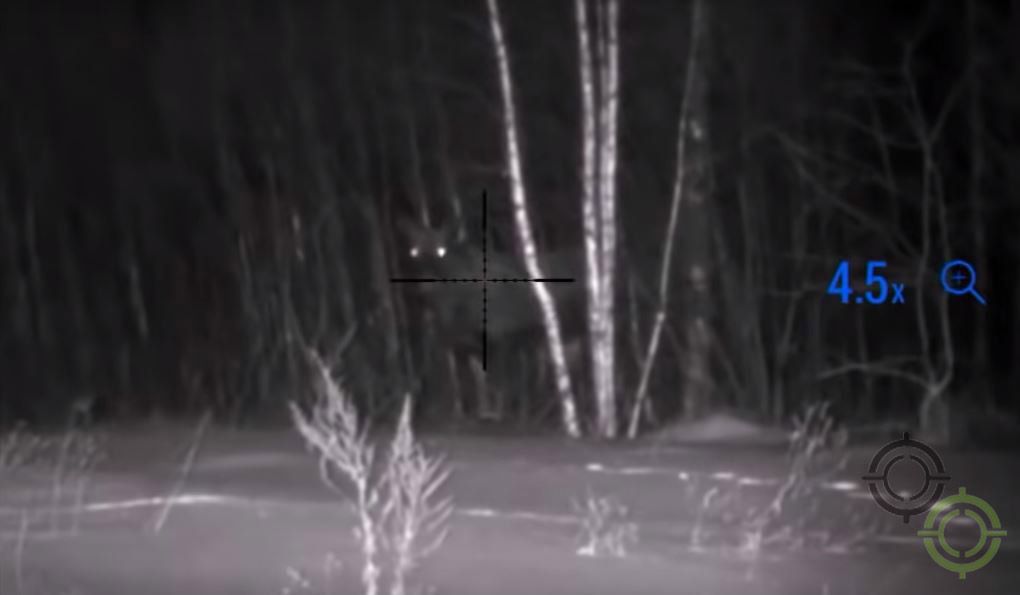 Звір на 70 метрів у прицілі Pulsar Digisight Ultra N455