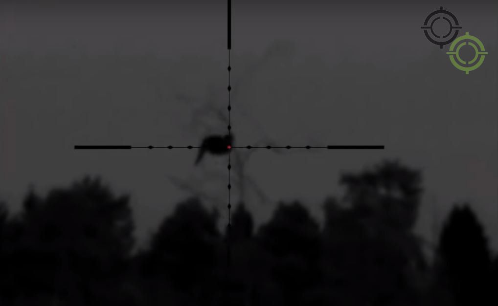 Тетерів на 170 метрах у прицілі Pulsar Digisight Ultra N455