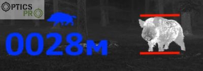 Вимірювання дистанції до кабана. 28 метрів